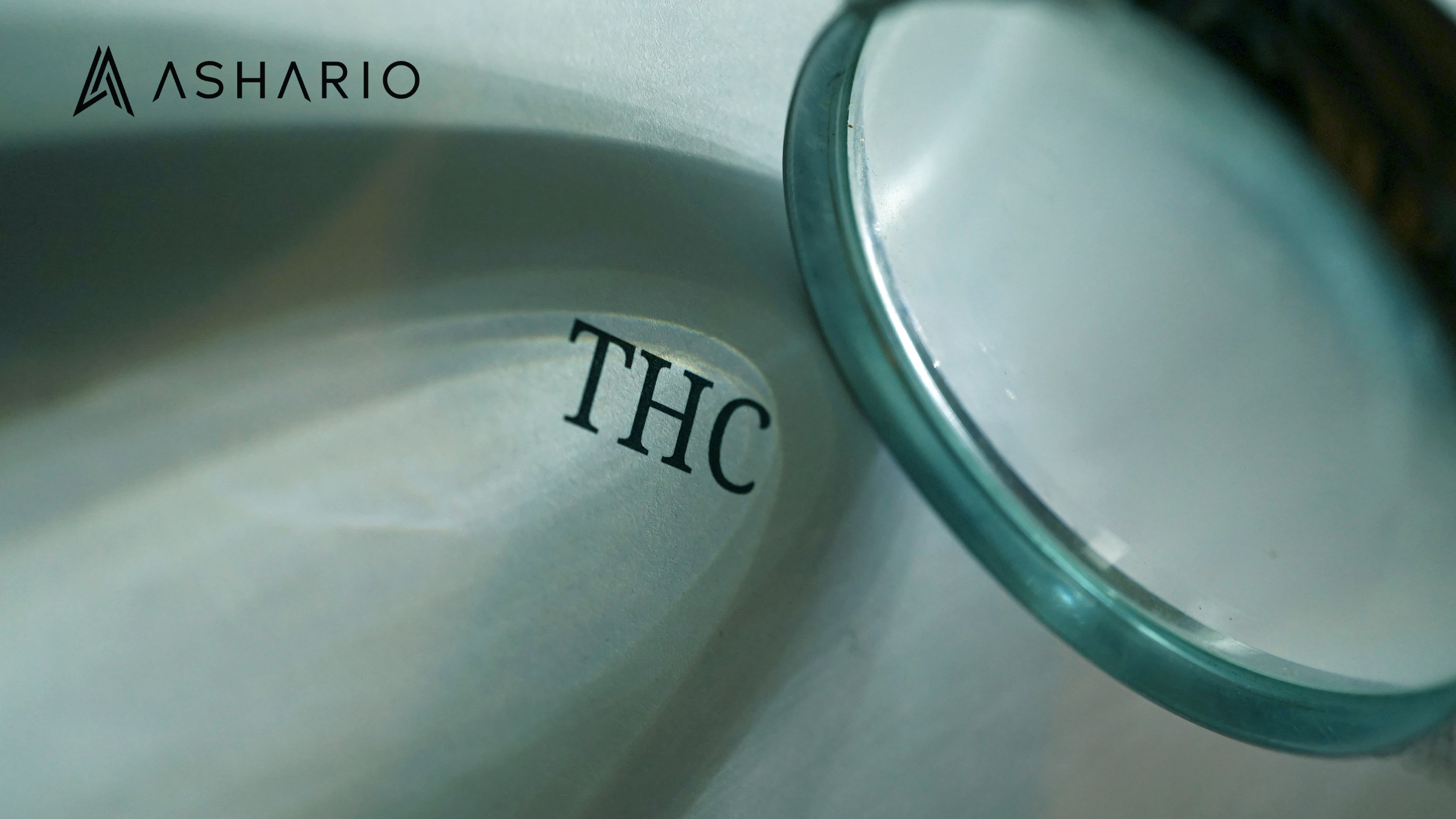 Discover the transformative power of cannabis in personal recovery journeys with firsthand accounts from individuals who have found solace and support through cannabis products.