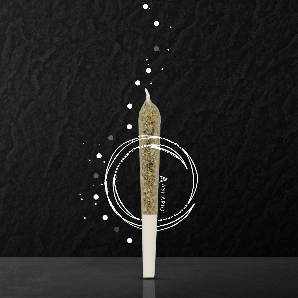Elevate Your Cannabis: Infused Pre-Rolls at Ashario