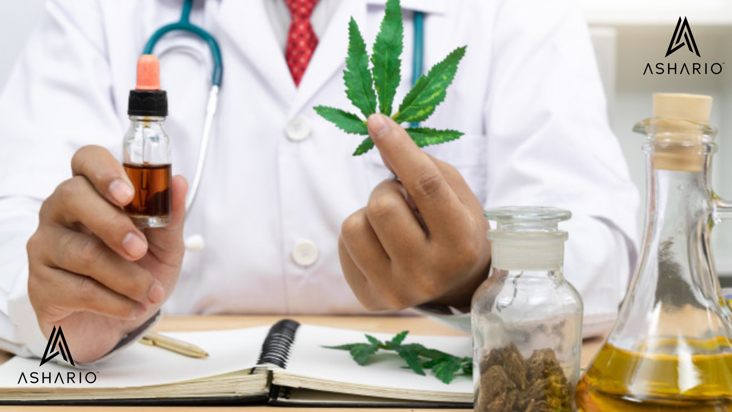 Stay ahead of the curve with our comprehensive guide to the top seven health benefits of cannabis in 2024. Explore the latest research and scientific findings on the therapeutic properties of cannabis, from pain relief to anxiety management and beyond.