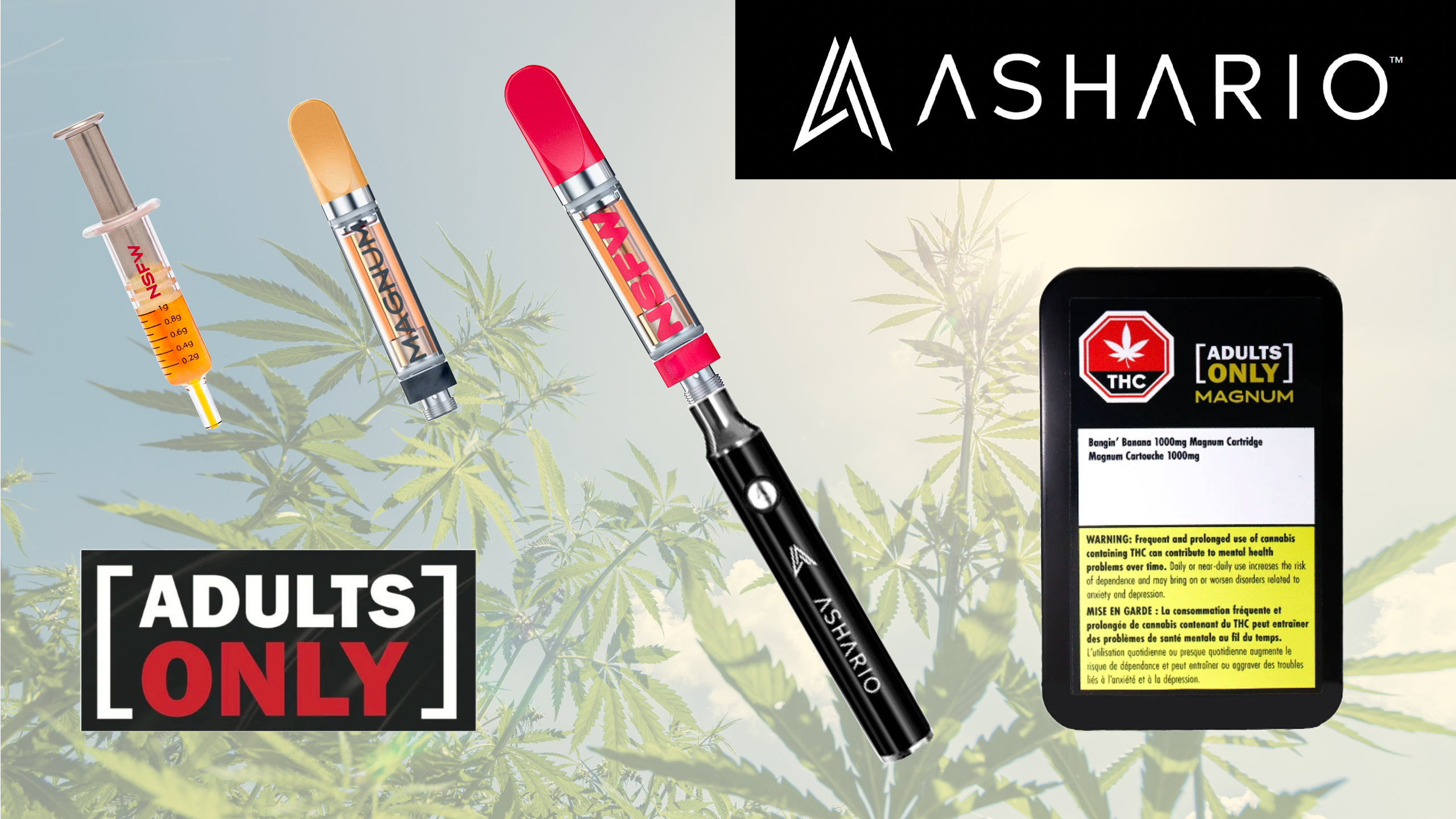 Discover the Adults Only Vape Cart Experience