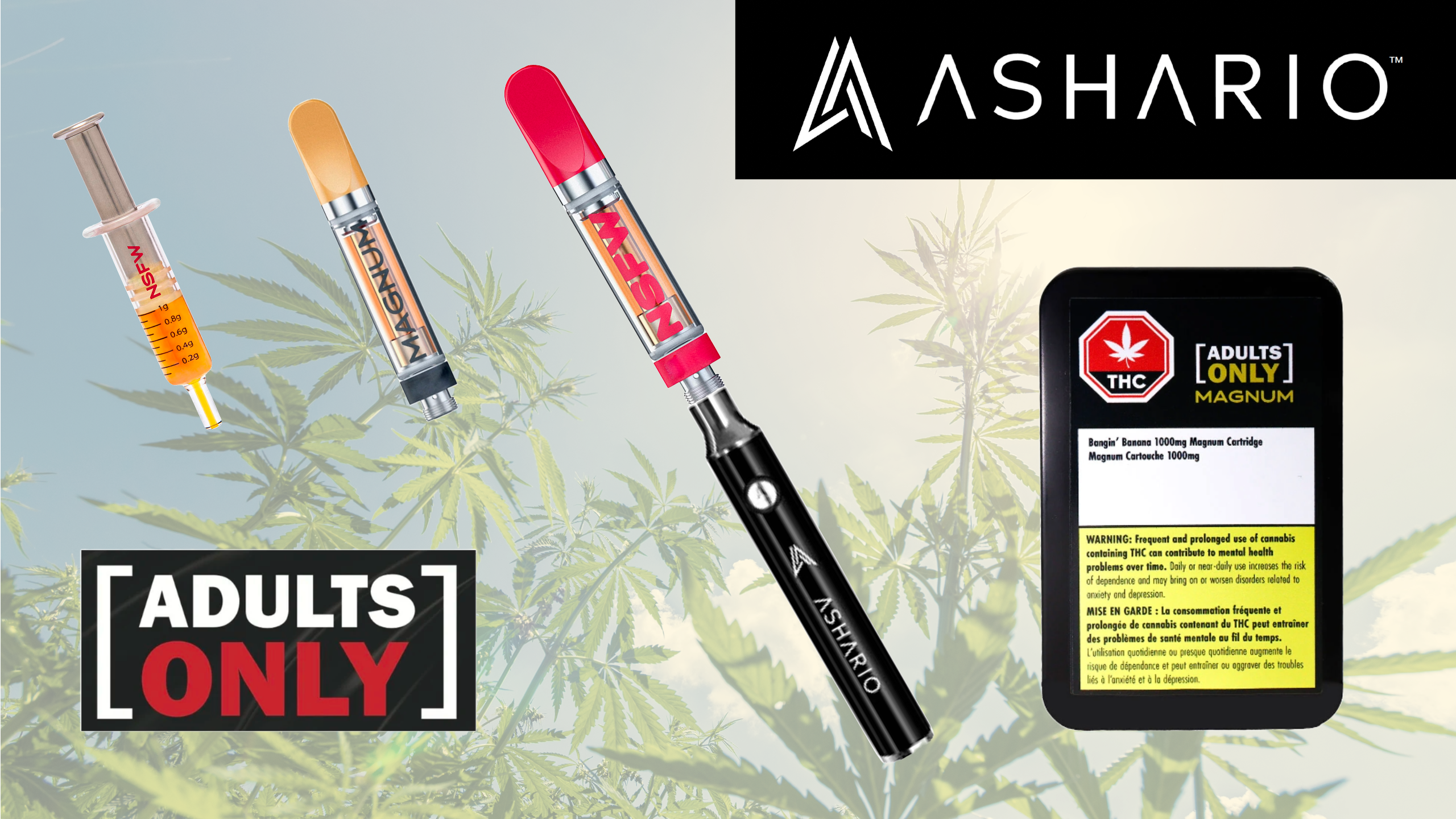 Embark on a journey of sophisticated indulgence with Ashario Cannabis's exclusive Adults-Only Vape Cart Experience.