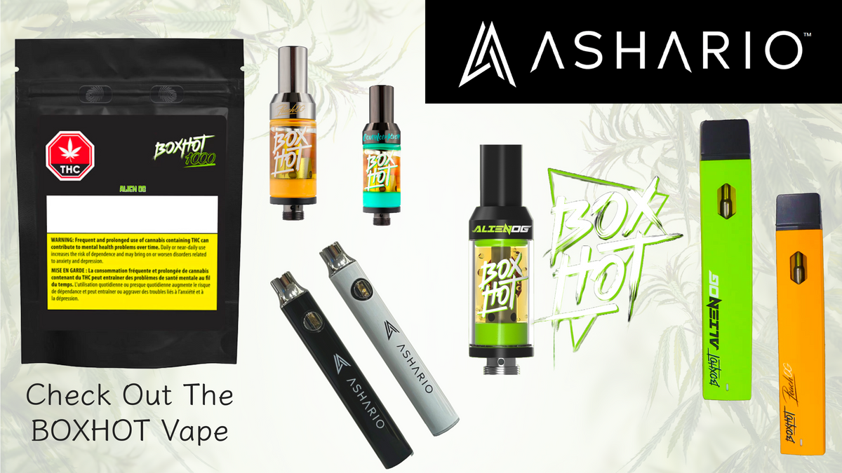 Unboxing the Best of BOXHOT – Ashario