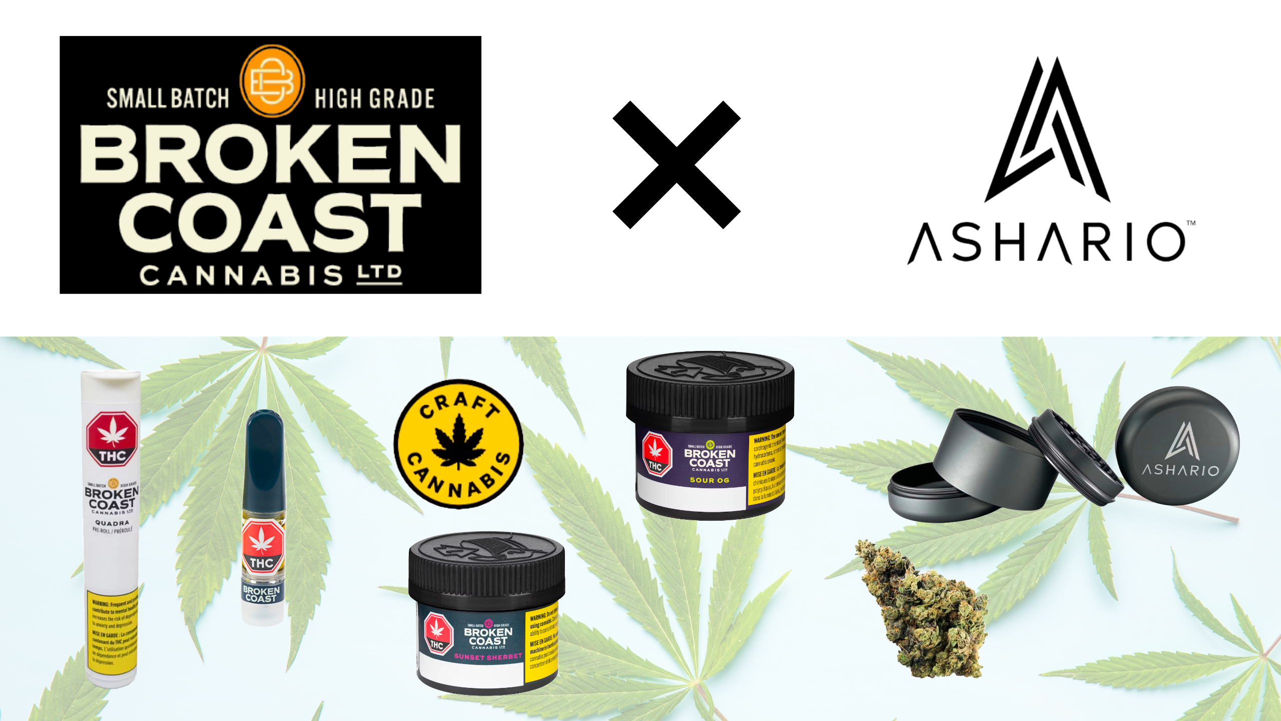 Discover the pinnacle of cannabis quality with Broken Coast, the top choice for flower and pre-rolls in Canada.