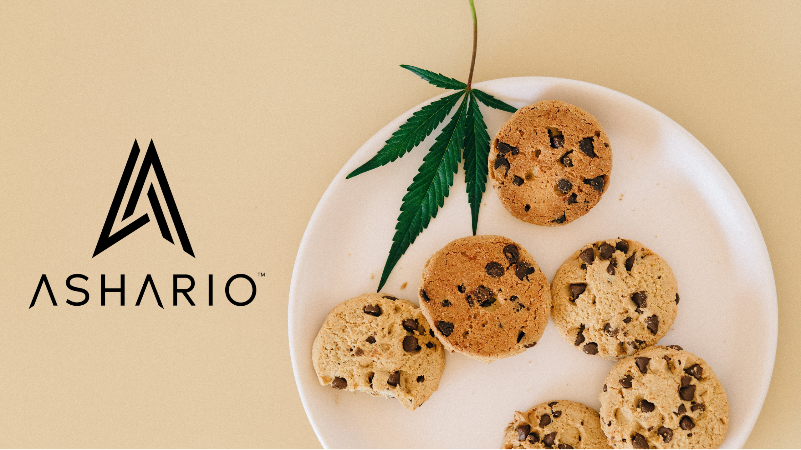 Welcome to Ashario Cannabis, Canada's best cannabis dispensary in North York, Ontario. 