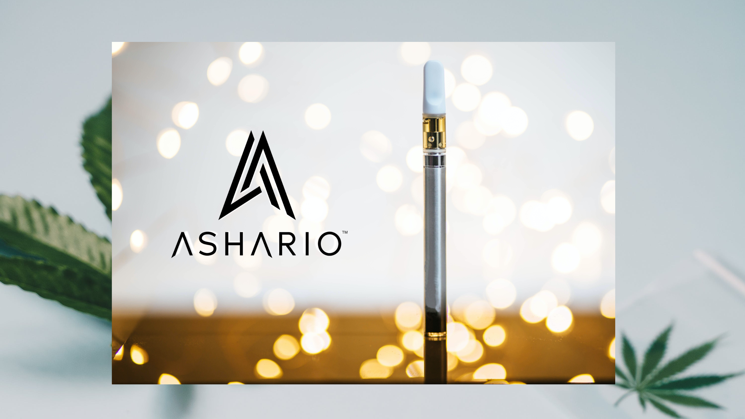 Ashario Cannabis: Your Premier Recreational Cannabis Vape Store Near You