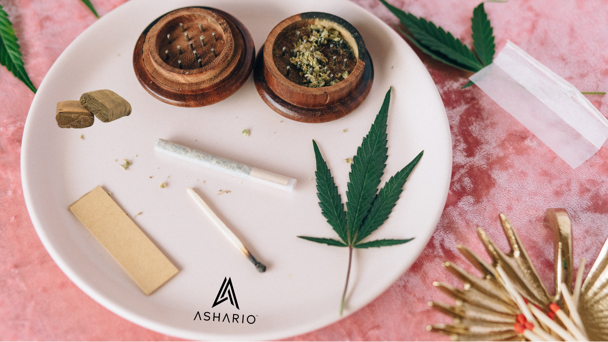 Looking for the best hash dispensary near you? Look no further than Ashario Cannabis, your premier destination for high-quality cannabis products. 