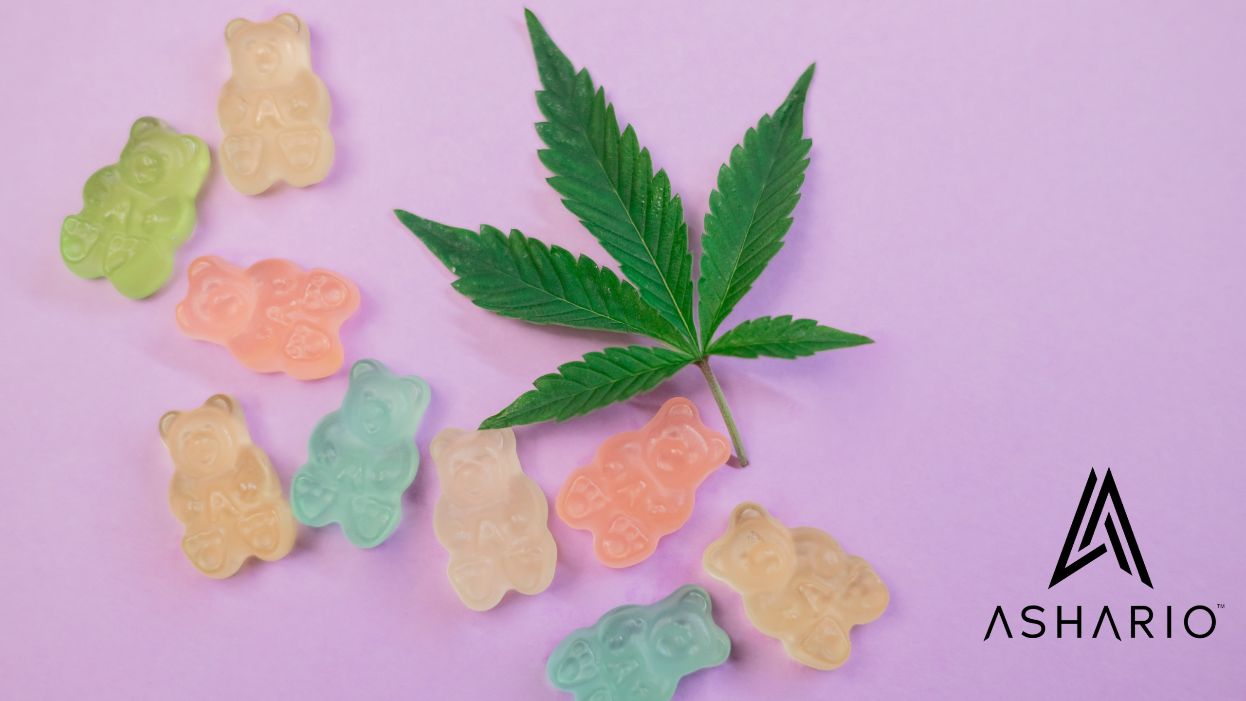 Explore the world of high-potency gummies at Ashario Cannabis, your go-to destination for premium cannabis products in Canada.