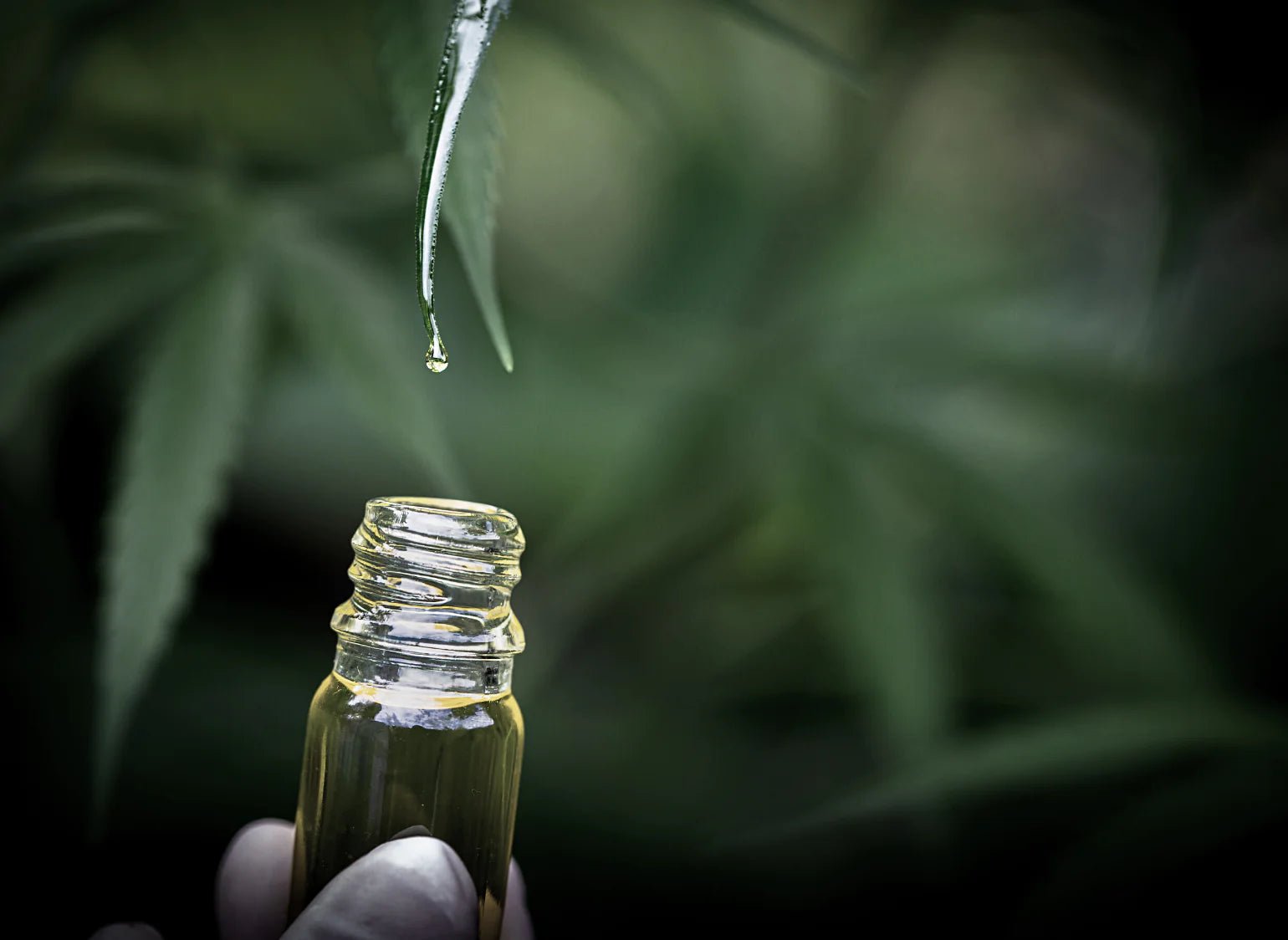 The Ultimate Guide to Distillate Concentrate Syringes