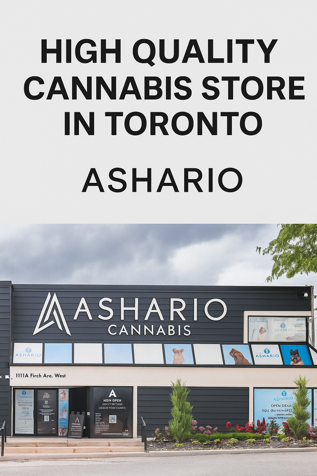Why Ashario Is the High Quality Cannabis Store Toronto Trusts